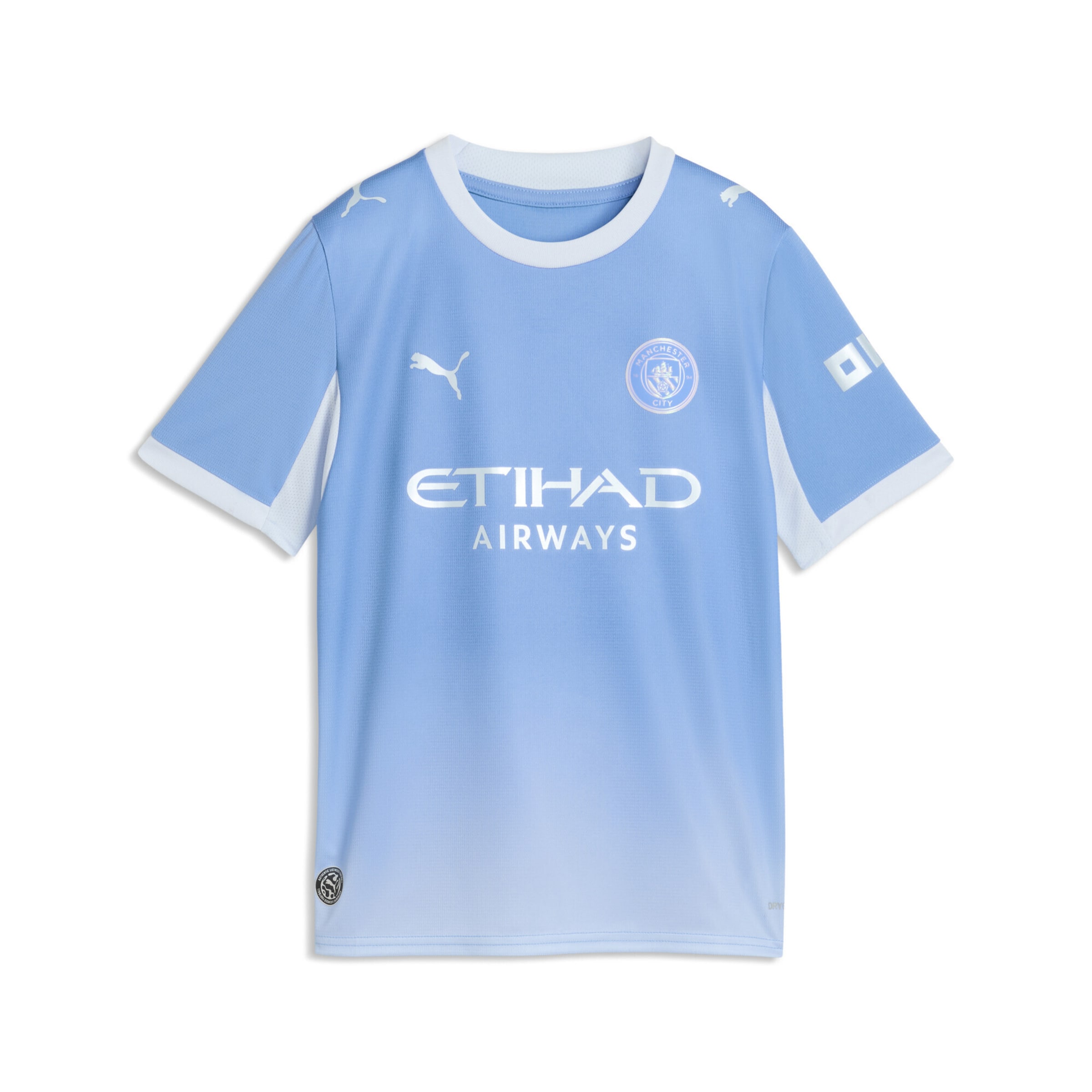 PUMA Funktionsshirt 'Manchester City' in Blau: Vorderseite