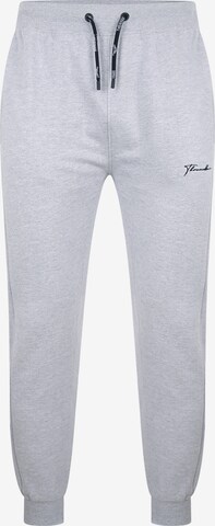 Threadbare Tapered Pants 'Ferry' in Grey: front