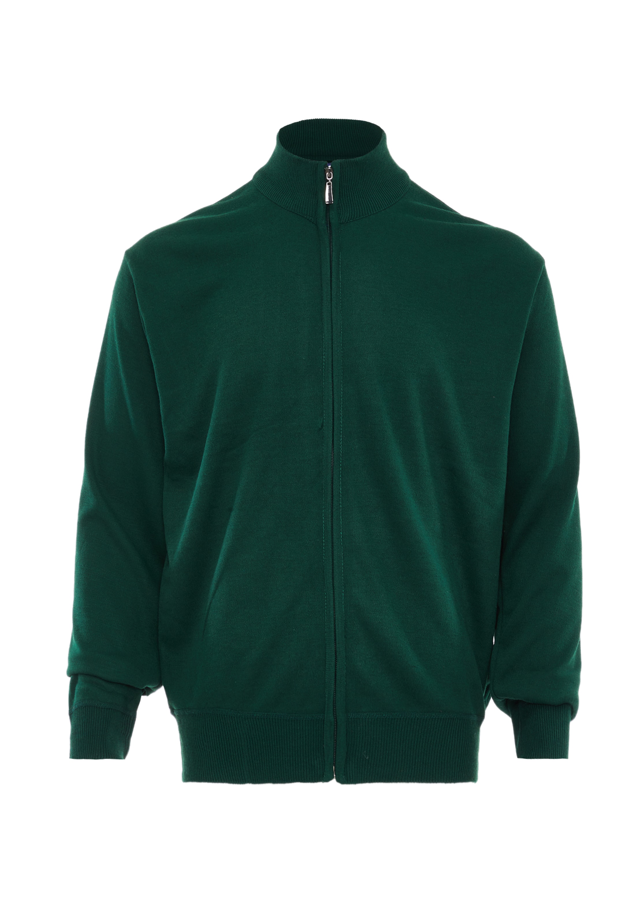 RAIDOKardigan - zelena boja: prednji dio