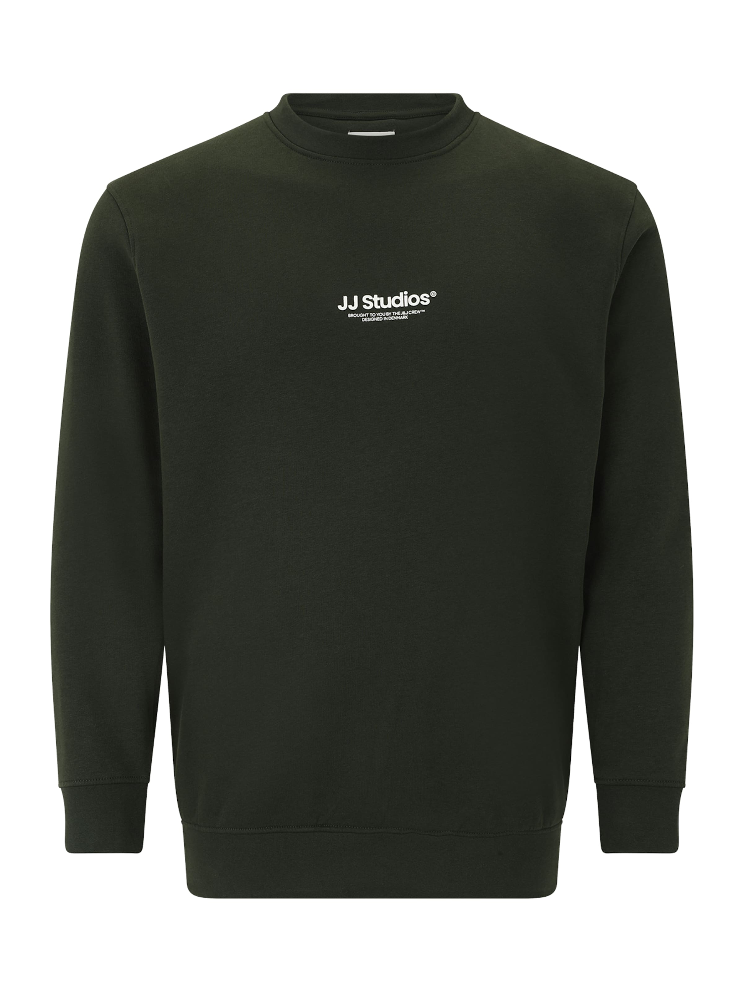 Jack & Jones Plus Sweatshirt 'JJESOHO' i grøn: forside