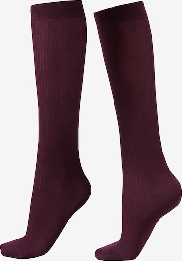 CALZEDONIA Socks in Bordeaux, Item view