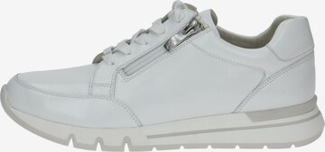 CAPRICE Athletic Lace-Up Shoes in White