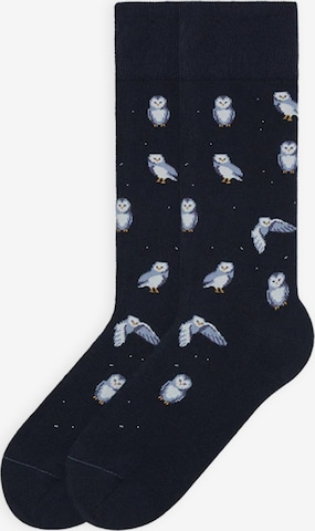 Von Jungfeld Socks 'Best of Icons' in Blue: front