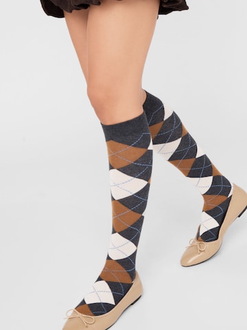 CALZEDONIA Knee High Socks in Grey