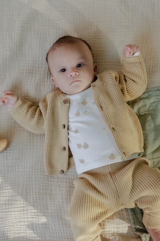 Regular Pantalon Noppies en marron : devant