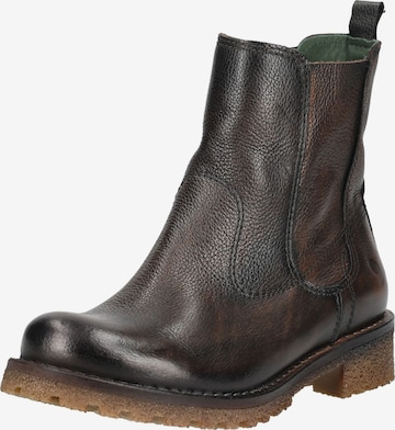 Bottines 'CASTER E521' FELMINI en marron : devant