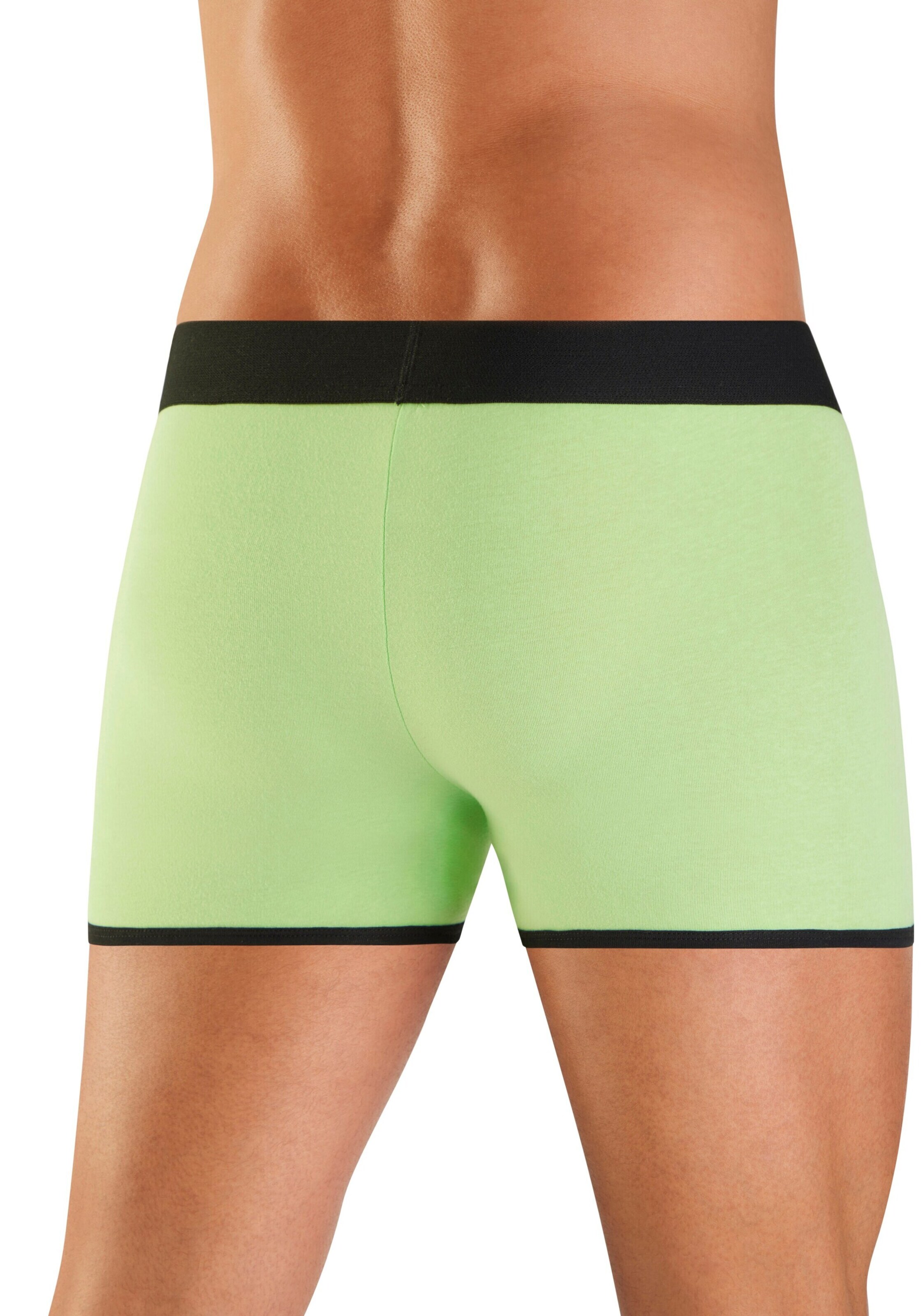 Bruno Banani Boxer shorts in Grey