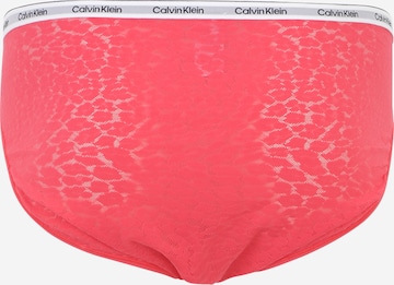Slip Calvin Klein Underwear Plus en vert