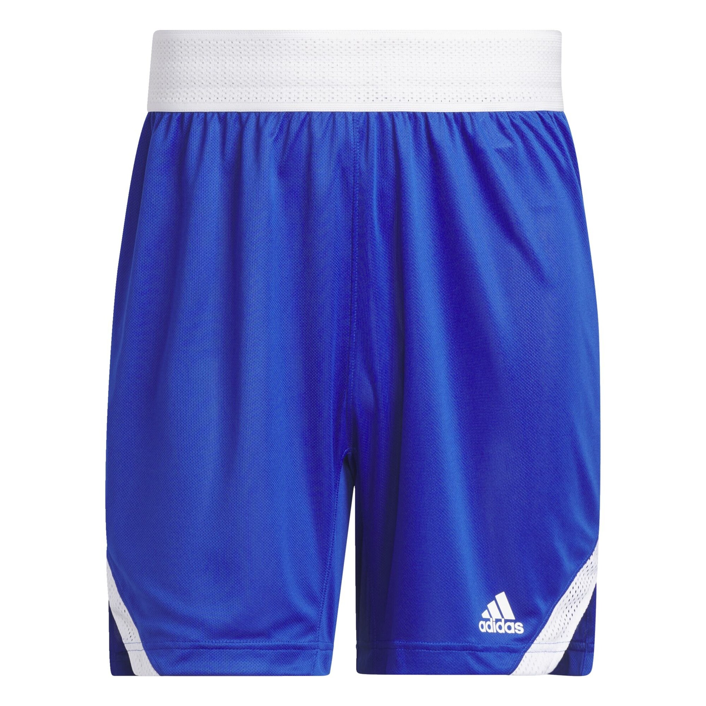 ADIDAS SPORTSWEAR Regular Sportshorts 'Icon Squad' in Blau: Vorderseite