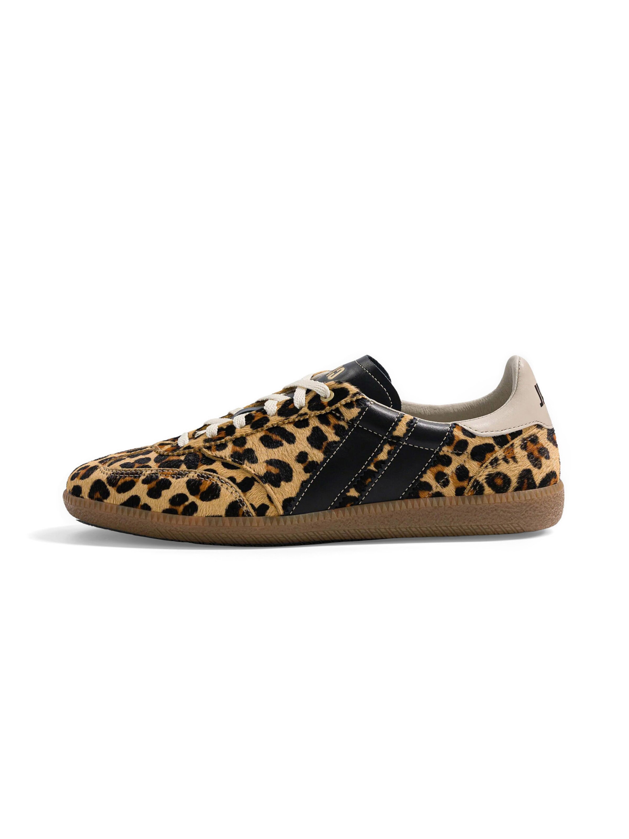 Caval Sneakers ' PULSE ' in Brown