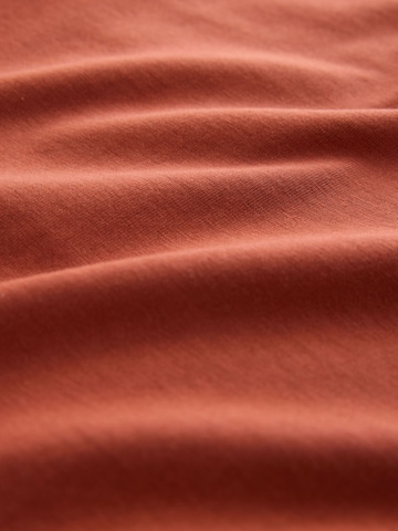 Next Shirt in Mixed colours