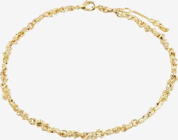 auksinė Pilgrim Kojų papuošalas 'NOVA': priekis