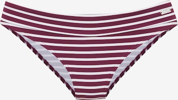 VENICE BEACHBikini donji dio - crvena boja: prednji dio