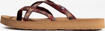 Tongs 'Hanna' Minnetonka en marron : devant