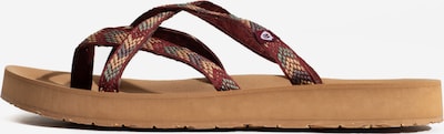 Minnetonka T-bar sandals 'Hanna' in Caramel / Auburn / Dark grey, Item view