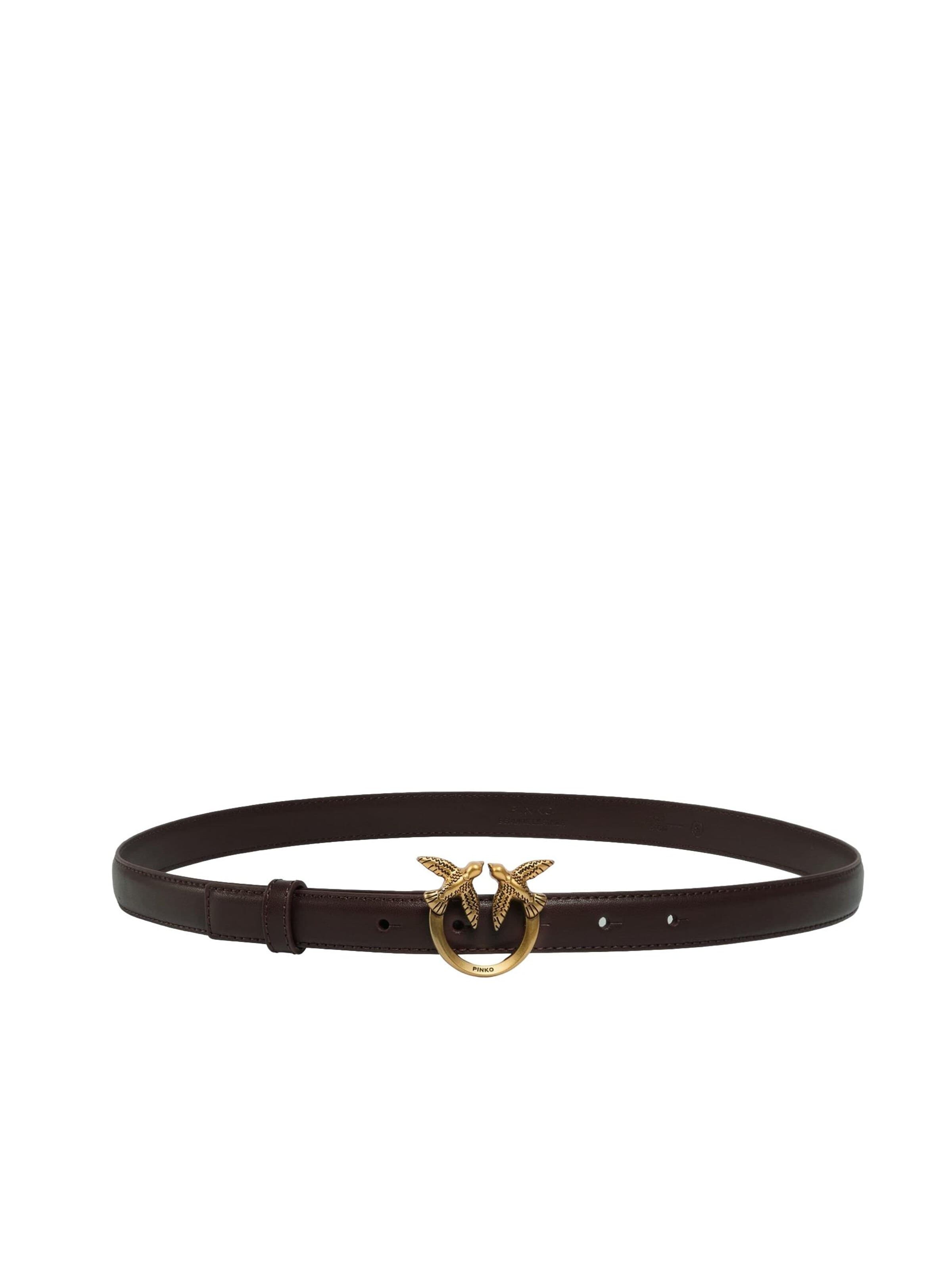 Ceinture 'LOVE BERRY' PINKO en marron : devant