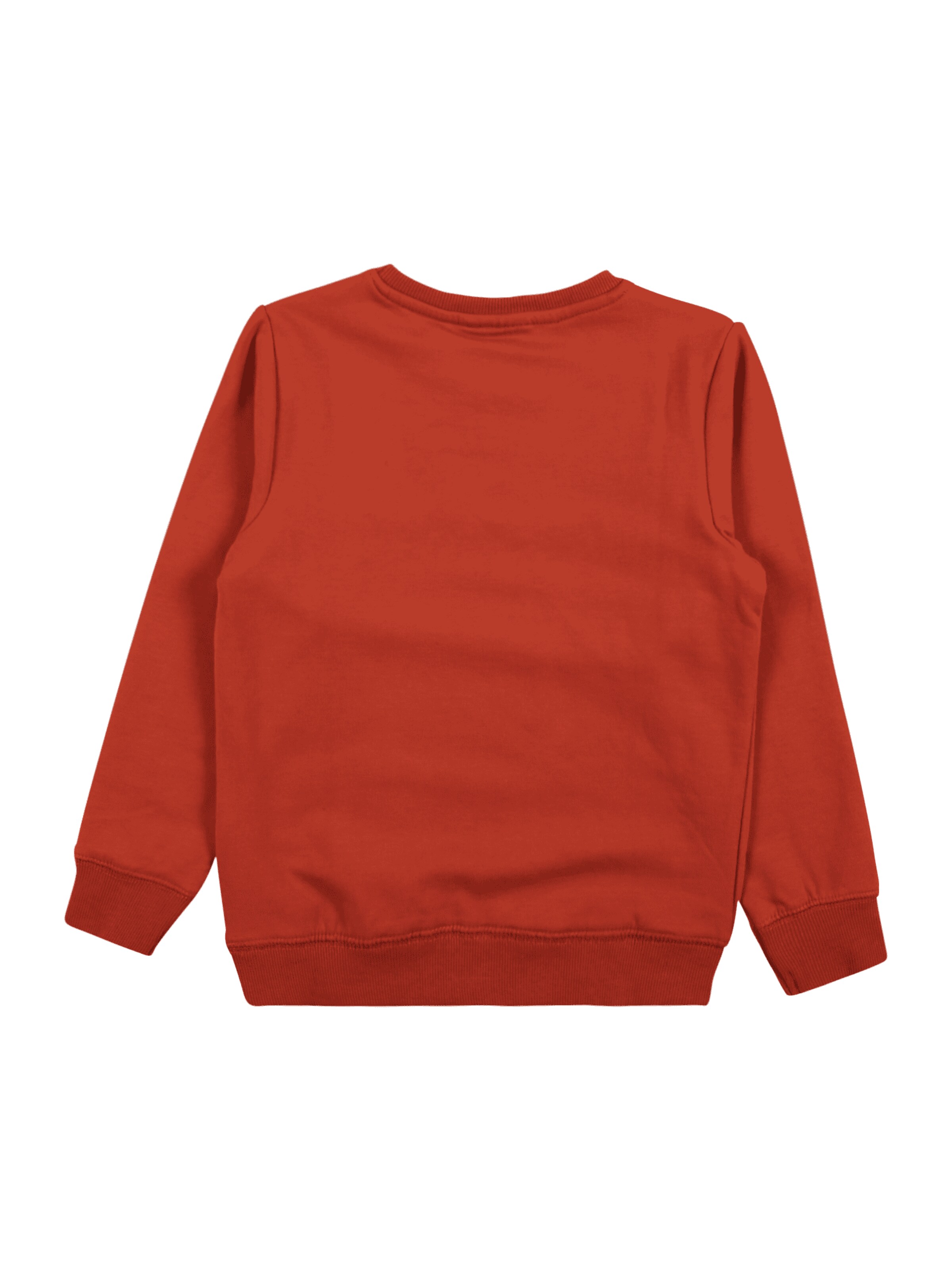 Kinder Kids (Gr. 92-140) NAME IT Sweatshirt 'Nelas' in Orange - IM39047