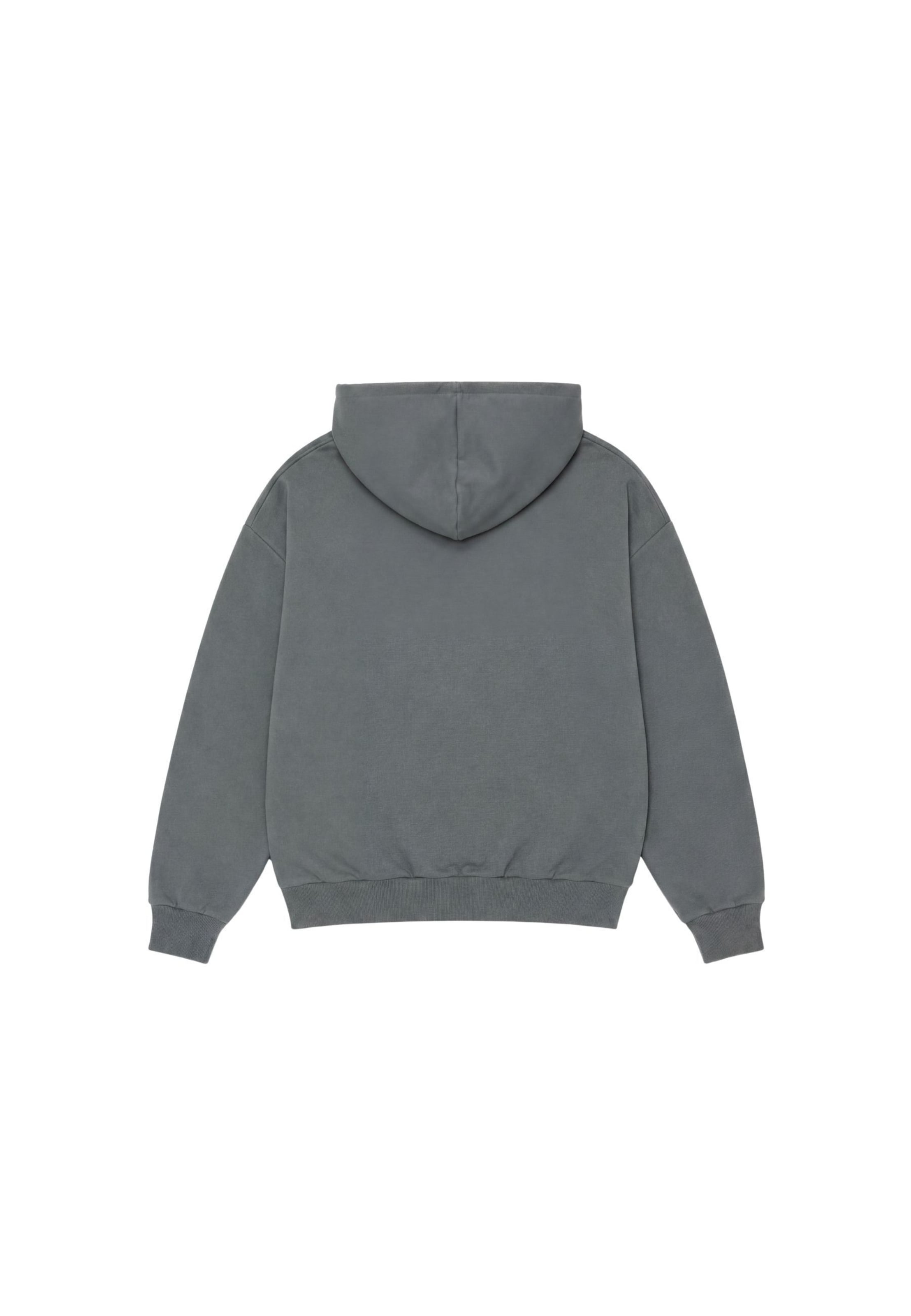 Colucci Sweatshirt 'College' in Grey
