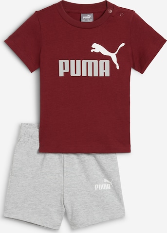 Sweatsuit Grey Wine red 62