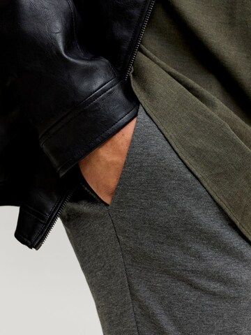 Regular Pantalon chino JACK & JONES en gris