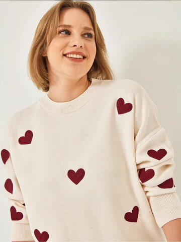 Bianco LucciPulover 'Pullover' - miks boja boja