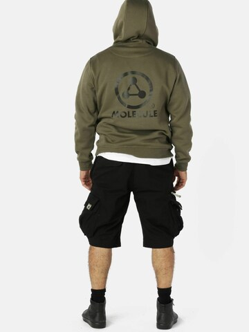 Molecule Sweatshirt i grøn