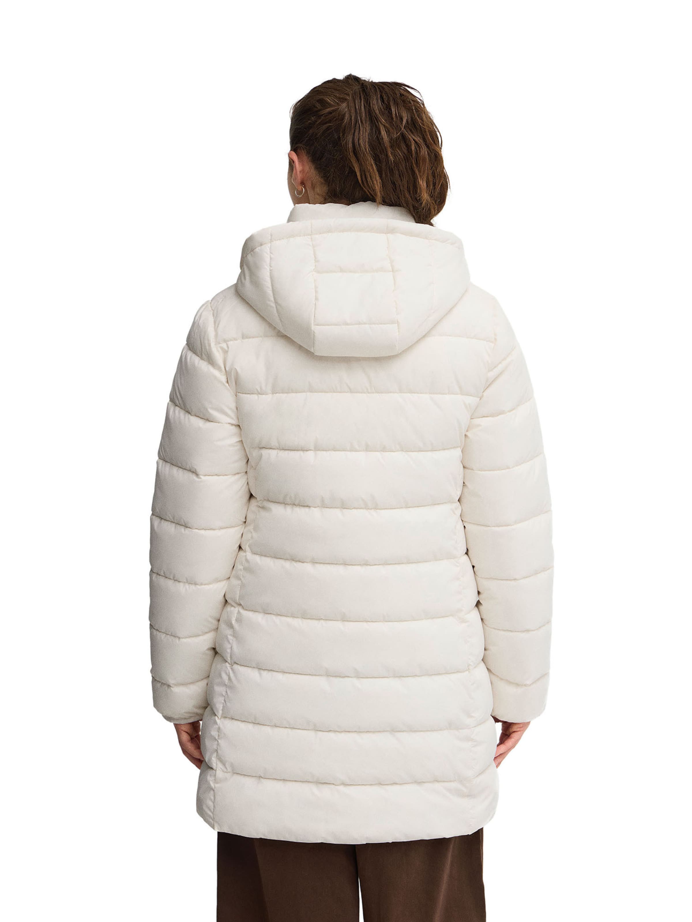 Polo Club Winter Jacket in Beige