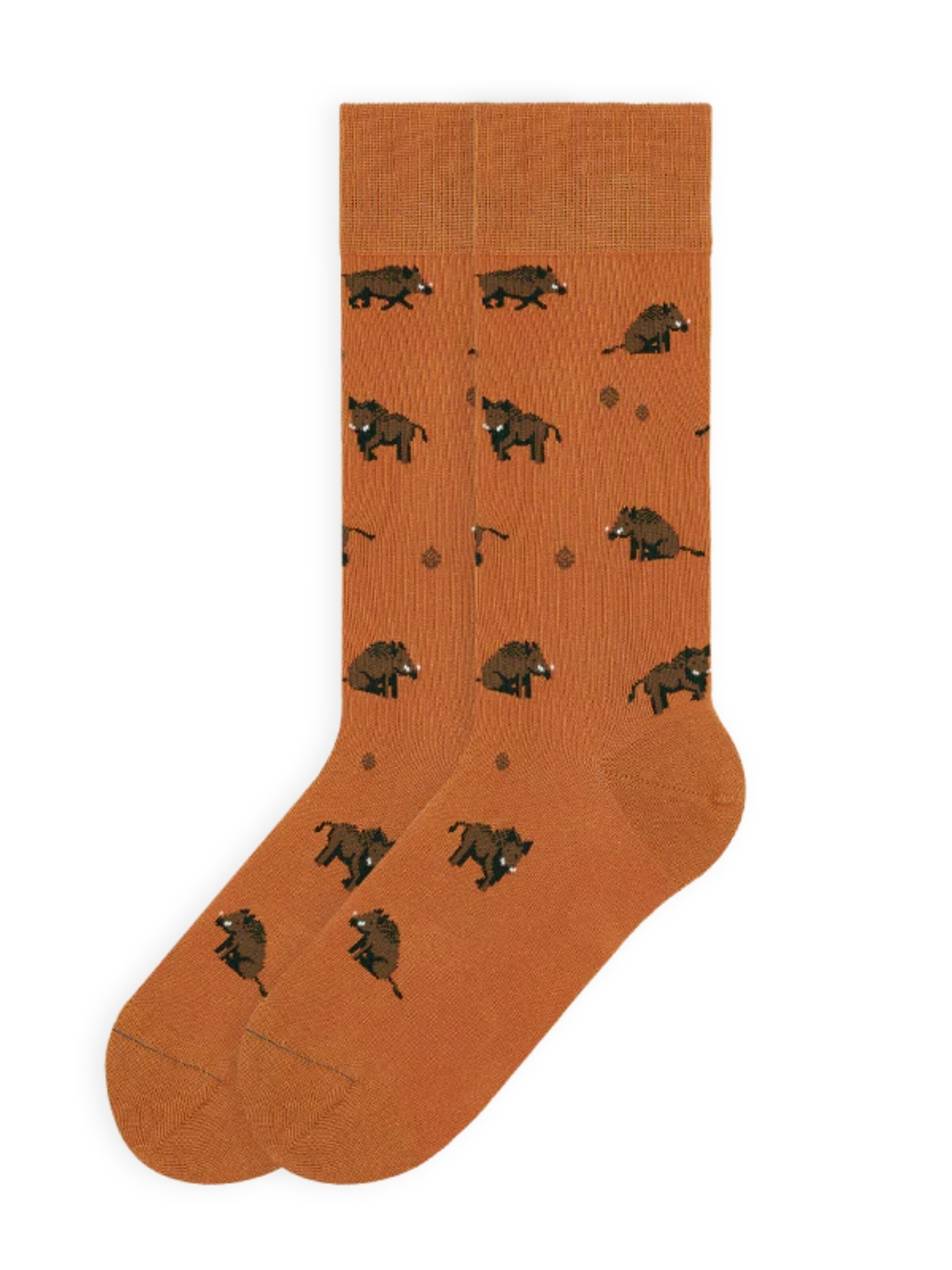 Von Jungfeld Socken 'Eber Icon'‌‌‌‌‌‌ in Orange: Vorderseite