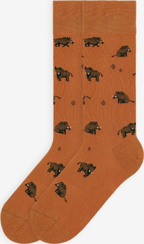 Von Jungfeld Socken 'Eber Icon' in Orange: Vorderseite