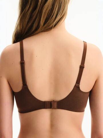 Penti Nedrček 'BHs & Bralettes' | rjava barva