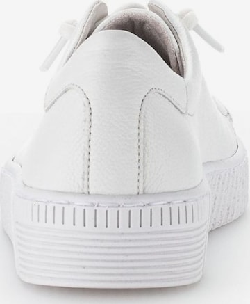 Sneaker bassa di GABOR in bianco