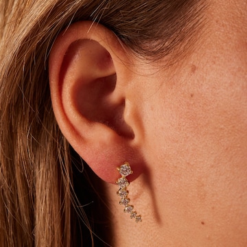Lucardi Earrings in Gold