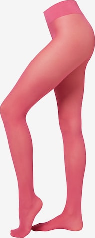 CALZEDONIA Strumpfhose in Rot: Vorderseite