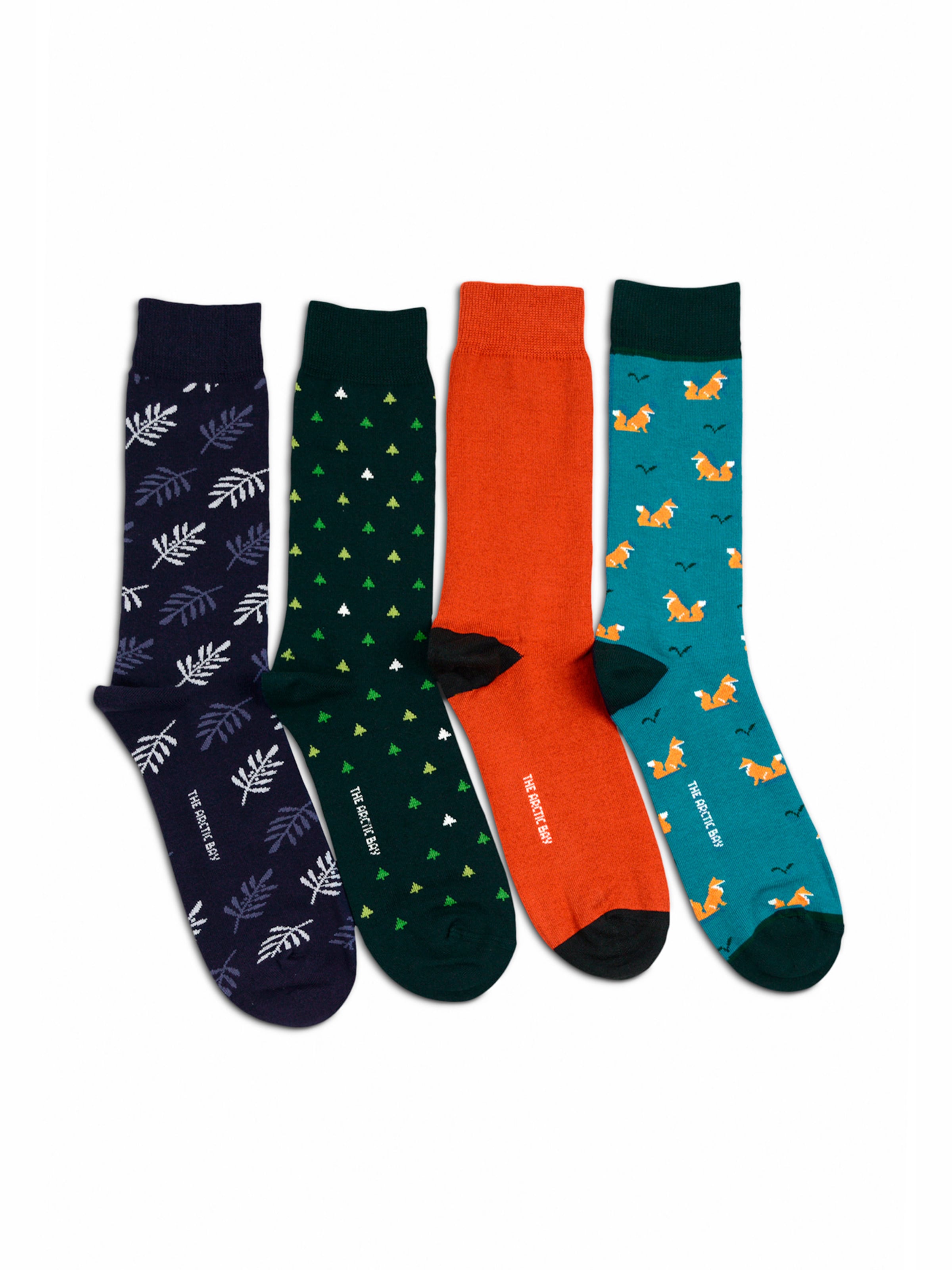 Chaussettes 'SHINRIN EDITION Gift box 4 Pack Unisex' The Arctic Bay en mélange de couleurs : devant