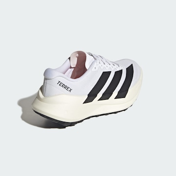 Chaussure basse 'Agravic SL' ADIDAS TERREX en blanc