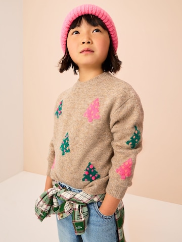 Next Pullover in Beige: Vorderseite