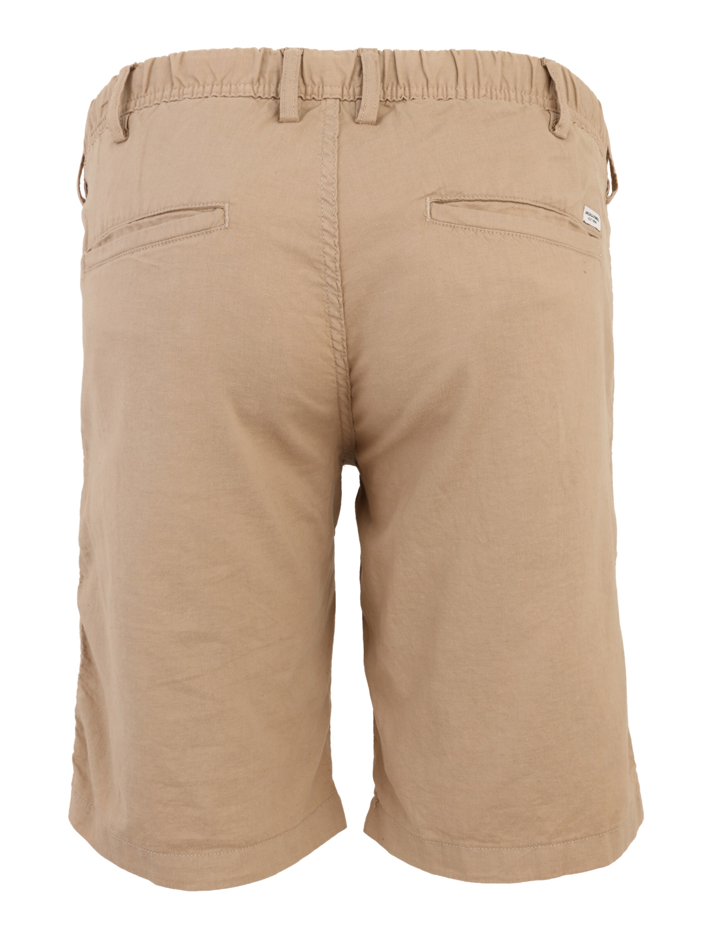 Jack & Jones Plus Regular Chino Pants 'JPSTJAIDEN' in Brown