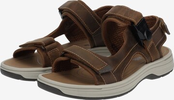 CLARKS Sandalen in Bruin