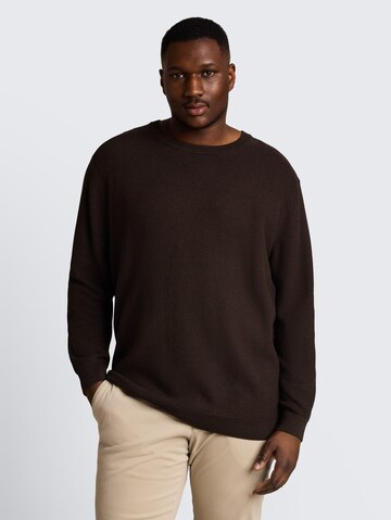 TOM TAILOR Men + Trui in Bruin: voorkant