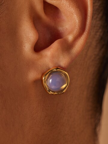 Lucardi Earrings in Gold