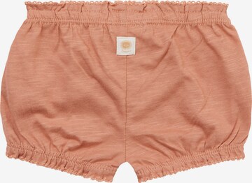 Noppies Regular Shorts 'Norman' in Orange