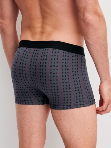 CALIDA Boxer shorts 'Cotton Code Design' in Grey
