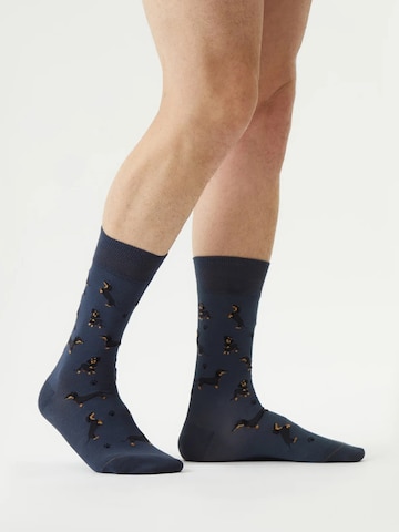 Von Jungfeld Socks 'Best of Icons' in Blue