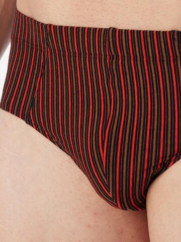 SCHIESSER Slip '95/5 Essentials - Cotton' in Mixed colours