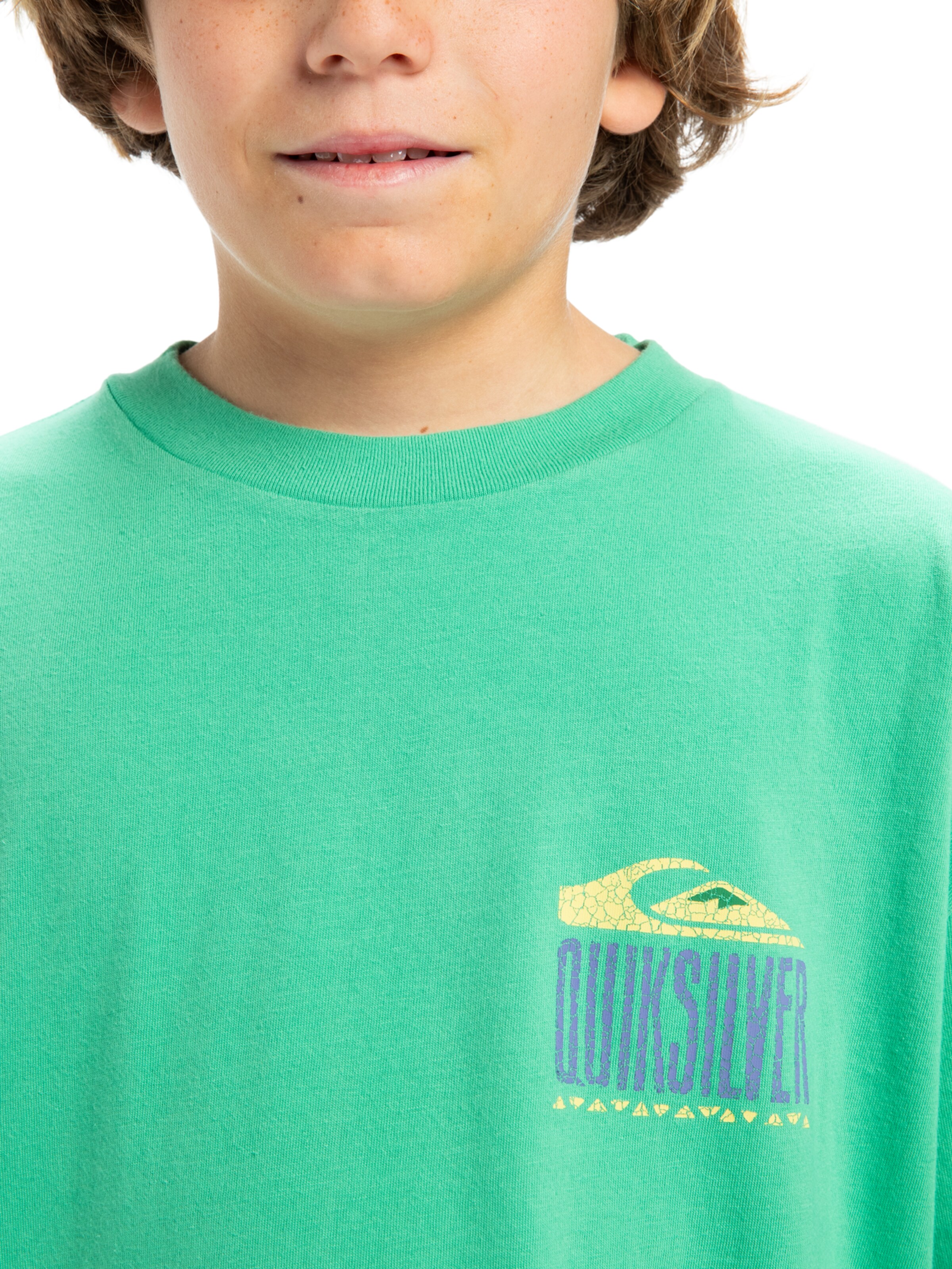 T-Shirt 'World Force' QUIKSILVER en vert