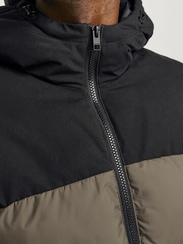 JACK & JONES Vinterjakke 'JJMoon' i brun
