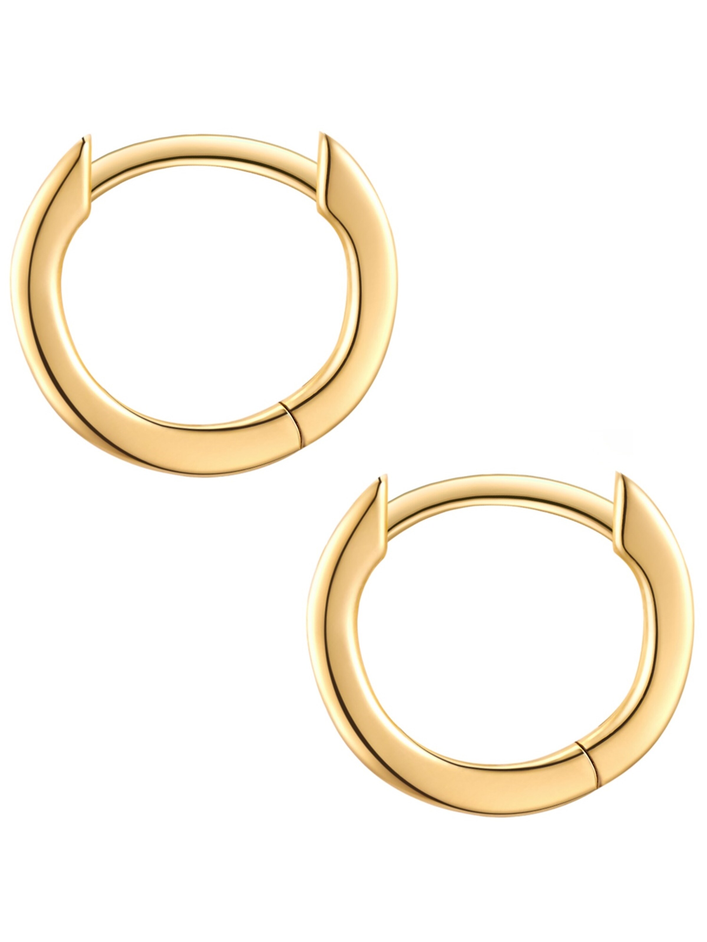 Trilani Oorbellen in Goud