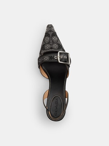 COACH Pumps 'Margot' in Schwarz