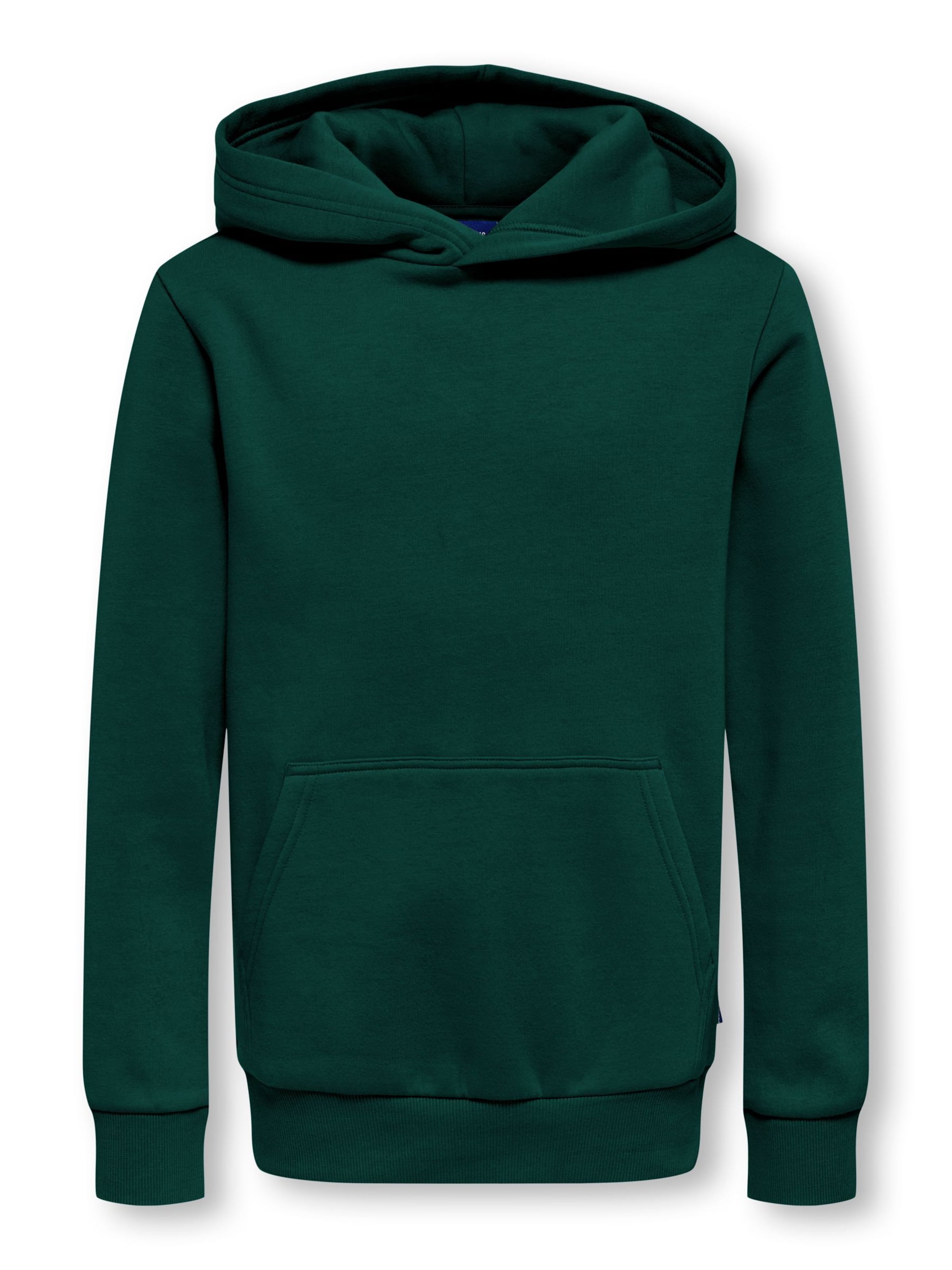 Only & Sons Junior Sweatshirt 'OSJCeres' in Green: front
