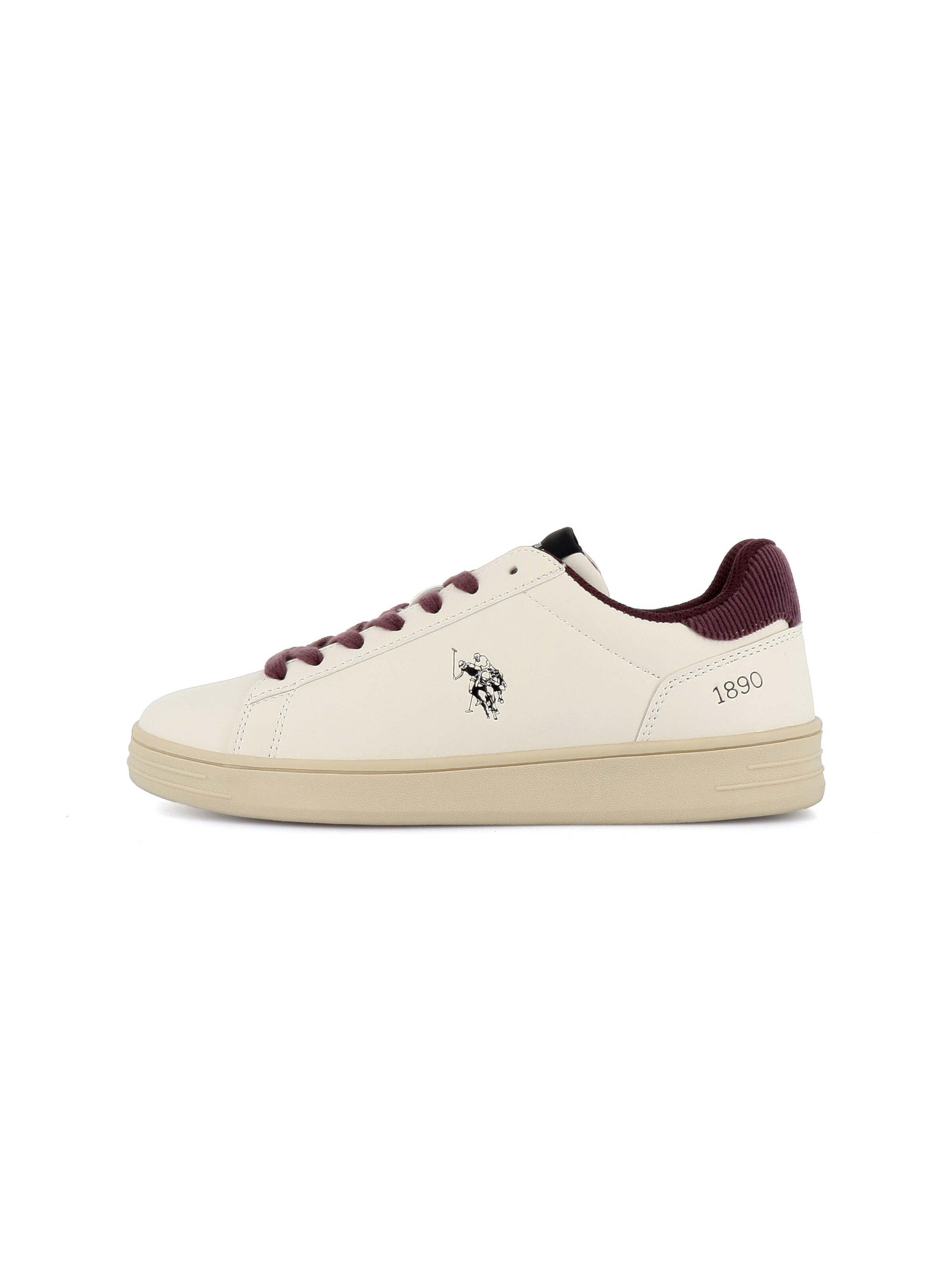 Baskets basses 'Alpha' US POLO ASSN. en beige : devant
